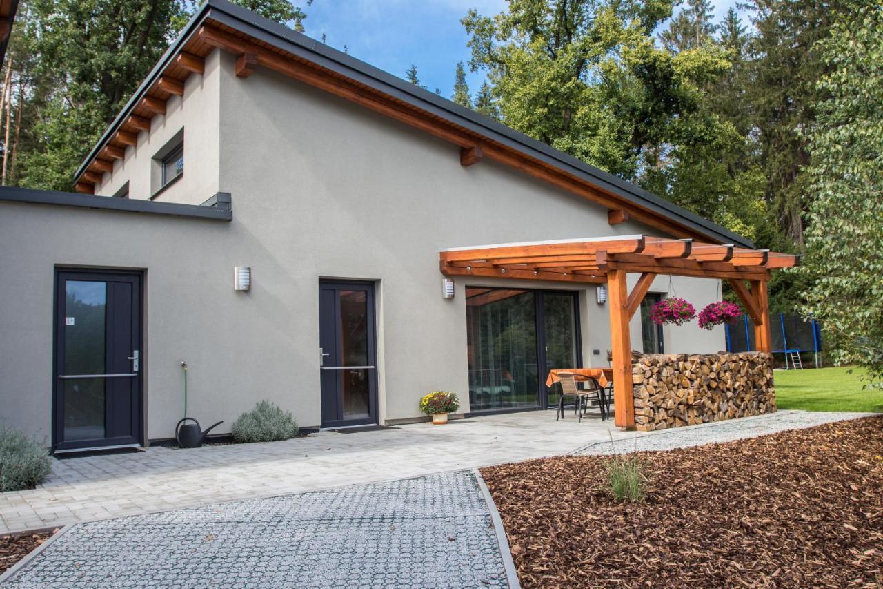 Rodvínov Apartmany Pod Lesem II מראה חיצוני תמונה
